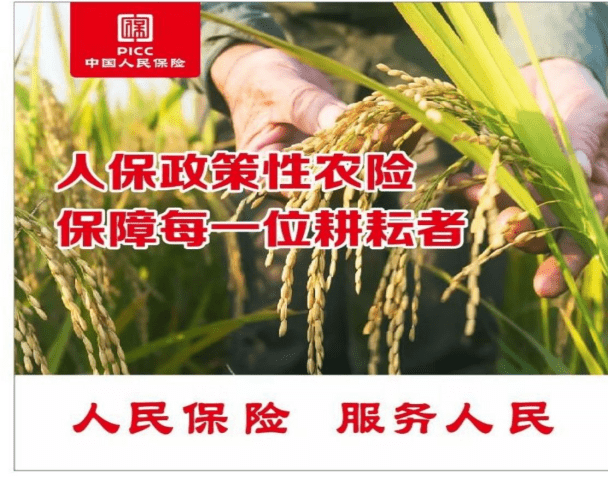 人保车险,人保财险 _2024年中国有机茶行业的产业链供需布局及市场发展现状