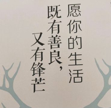 人保护你周全,人保有温度_全球只有不到10%的塑料被回收利用 废塑料行业市场现状调查及前景分析