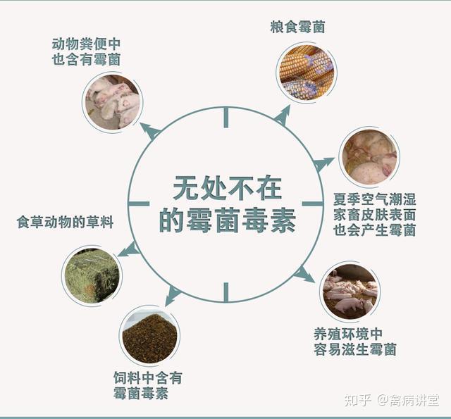 微生物脱臭的应用领域、行业产业链及发展前景_人保车险   品牌优势——快速了解燃油汽车车险,人保车险