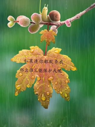 人保财险 ,人保护你周全_2024年中国个人搬家行业的产业链上下游结构及发展趋势分析