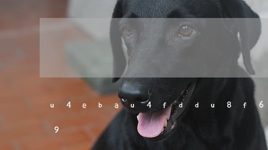 人保车险   品牌优势——快速了解燃油汽车车险,人保护你周全_纳米铝行业上下游市场分析及未来需求前景