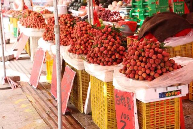 人保服务 ,人保车险_70万斤“妃子笑”荔枝拍出458.57万元 荔枝种植行业市场前景趋势分析