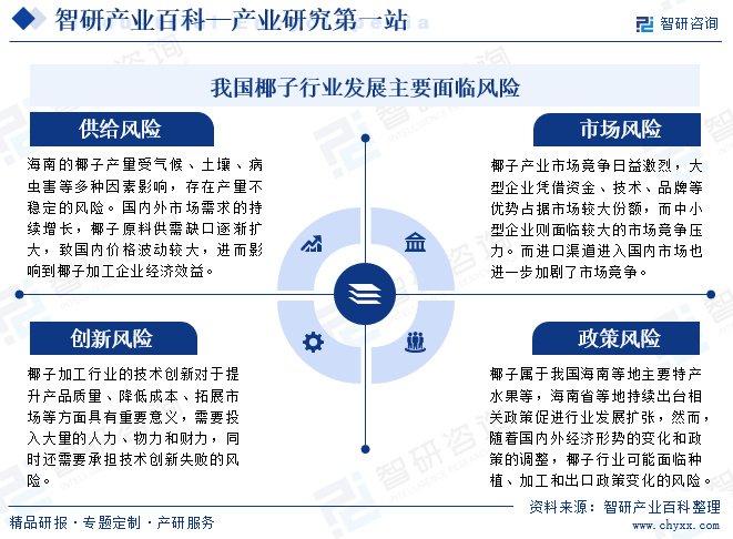 2024年中国合成原料气行业的产业链及投资前景分析_人保车险   品牌优势——快速了解燃油汽车车险,拥有“如意行”驾乘险，出行更顺畅！