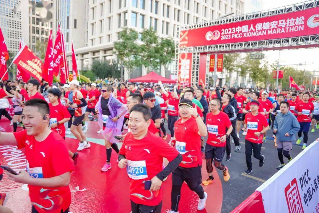 人保车险,人保伴您前行_2024毛绒玩具行业现状分析及发展预测报告 必胜客被指涉嫌侵权