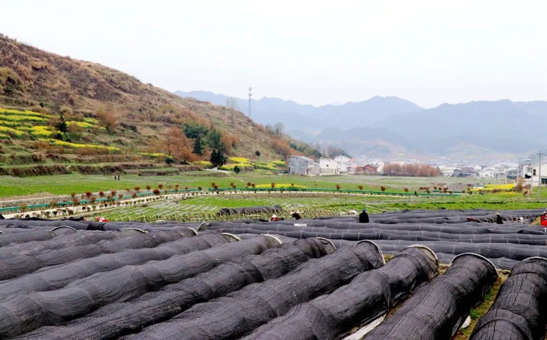 并购重组市场“春意暖” 项目数量质量双提升