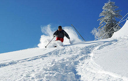 2024中国青花椒市场深度调研及未来发展前景分析_人保财险 ,拥有“如意行”驾乘险，出行更顺畅！