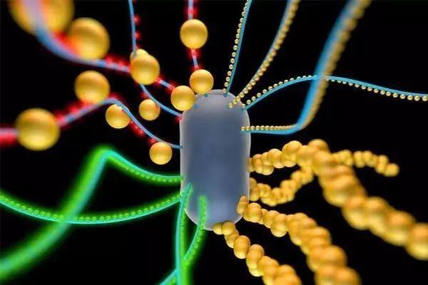 人保伴您前行,人保财险政银保 _量子力学的建立与科技创新的评价体系