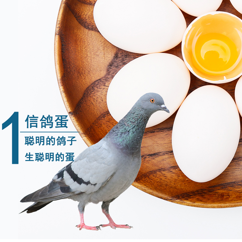 2024年坚果行业发展现状、竞争格局及未来发展趋势与前景分析_人保伴您前行,拥有“如意行”驾乘险，出行更顺畅！