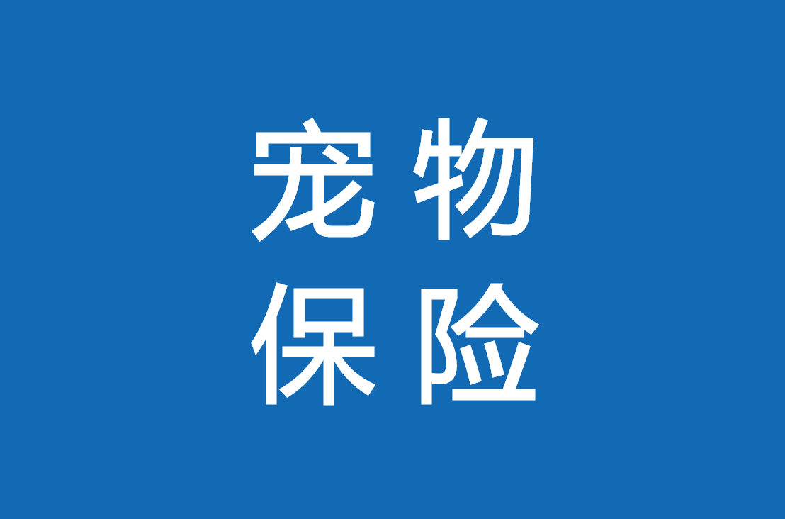 2024年中国旅行床垫行业的市场发展现状及投资潜力分析_保险有温度,人保服务