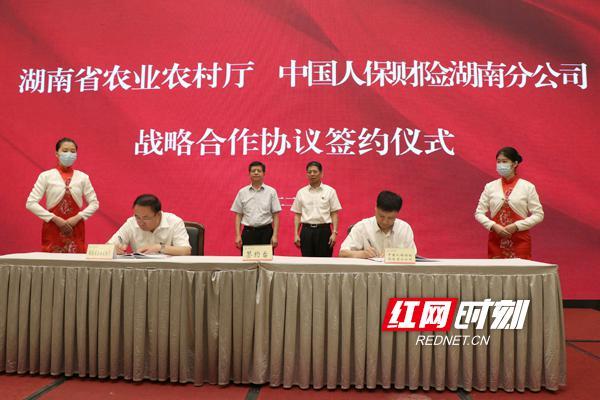 2024年白酒行业发展现状、竞争格局及未来发展趋势与前景分析_人保财险政银保 ,拥有“如意行”驾乘险，出行更顺畅！