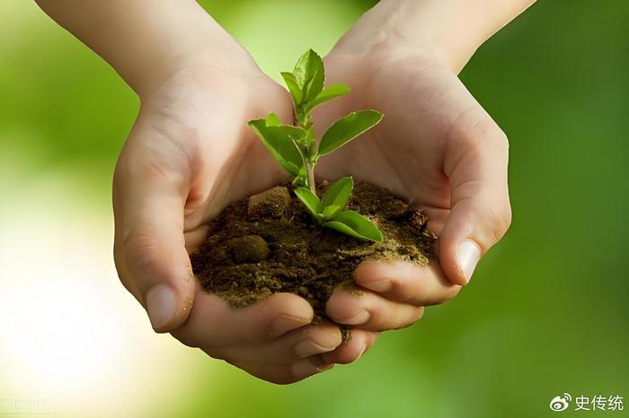 中国柠檬精油行业发展前景及产业链分析_人保车险   品牌优势——快速了解燃油汽车车险,人保伴您前行