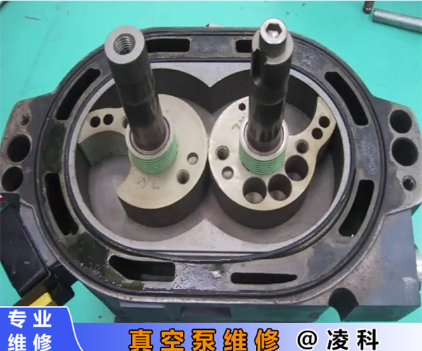 2024中国真空泵行业市场现状及未来前景预测_保险有温度,人保伴您前行