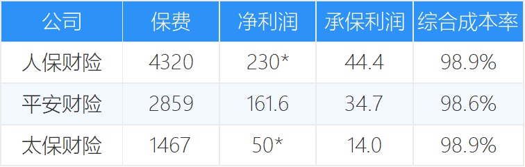 2024年中国网上银行产业现状市场调查分析及未来发展战略_人保车险   品牌优势——快速了解燃油汽车车险,人保服务 