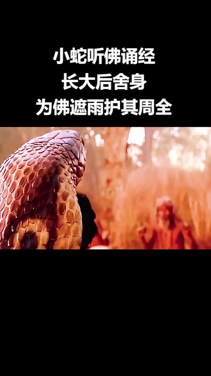 2024中国防火板行业现状及发展趋势分析_人保财险政银保 ,人保护你周全