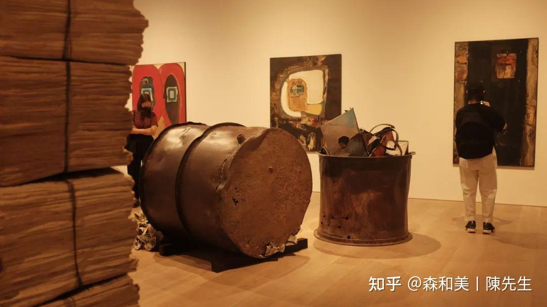 每个人都可以是一个康复者――戴安娜・阿西尔和她的《暮色将尽》