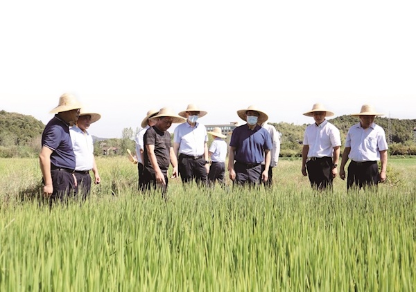 泵用电动机行业政策环境、市场驱动因素及未来前景趋势_保险有温度,人保车险   品牌优势——快速了解燃油汽车车险