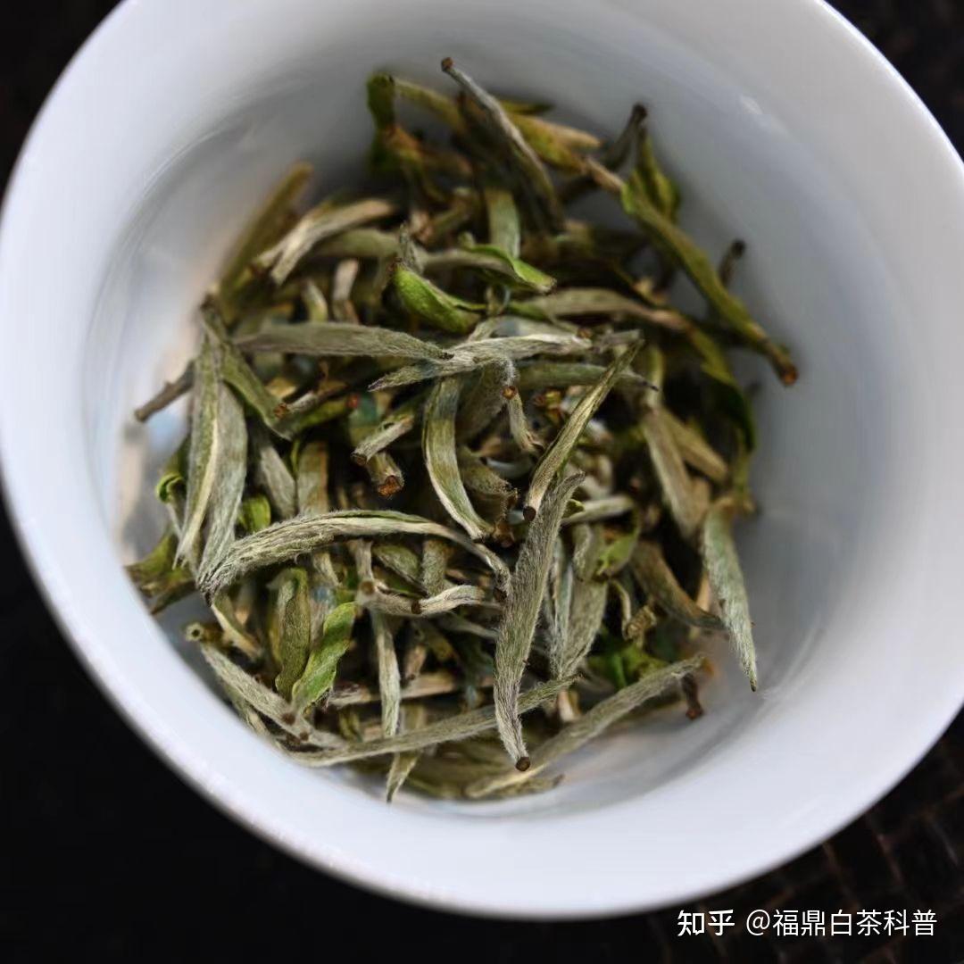 人保财险政银保 ,人保财险 _白茶行业发展现状、前景趋势研究分析