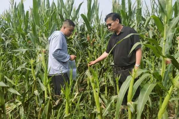 2024多晶硅行业现状及进出口市场分析_人保车险,人保财险 