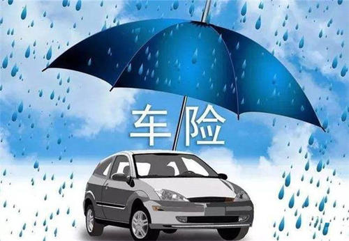 棕榈油行业市场现状、前景趋势研究分析_人保车险,人保有温度