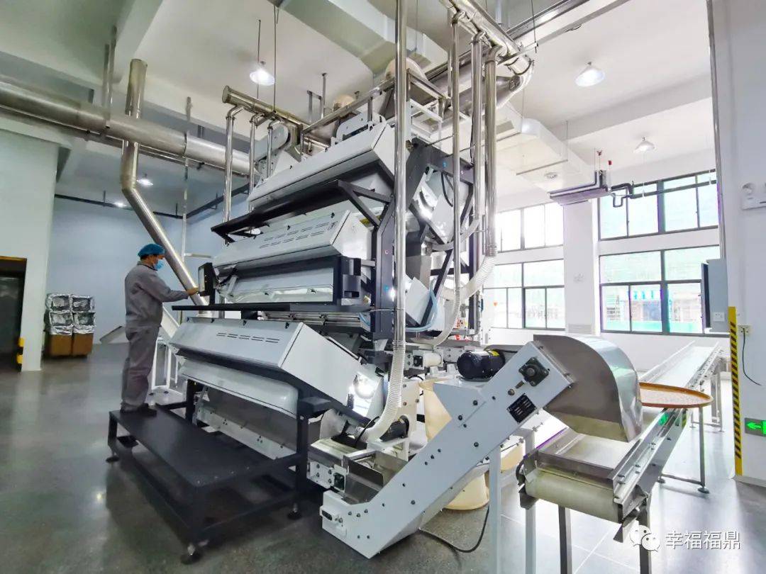 人保服务 ,人保车险_临沧白茶热销马来西亚 白茶产业现状、出口销量及未来发展趋势分析