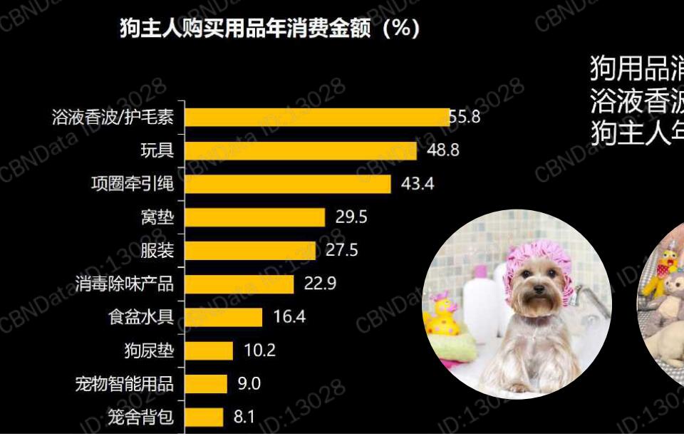 宠物医疗市场有多大?宠物医疗行业前景预测_人保伴您前行,人保财险 