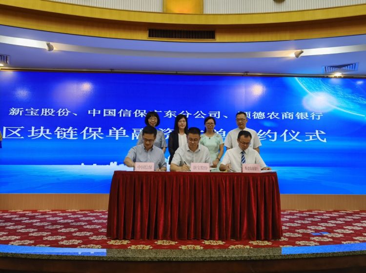 人保财险政银保 ,人保护你周全_2024茶粉行业市场深度调研及发展现状、企业竞争格局分析