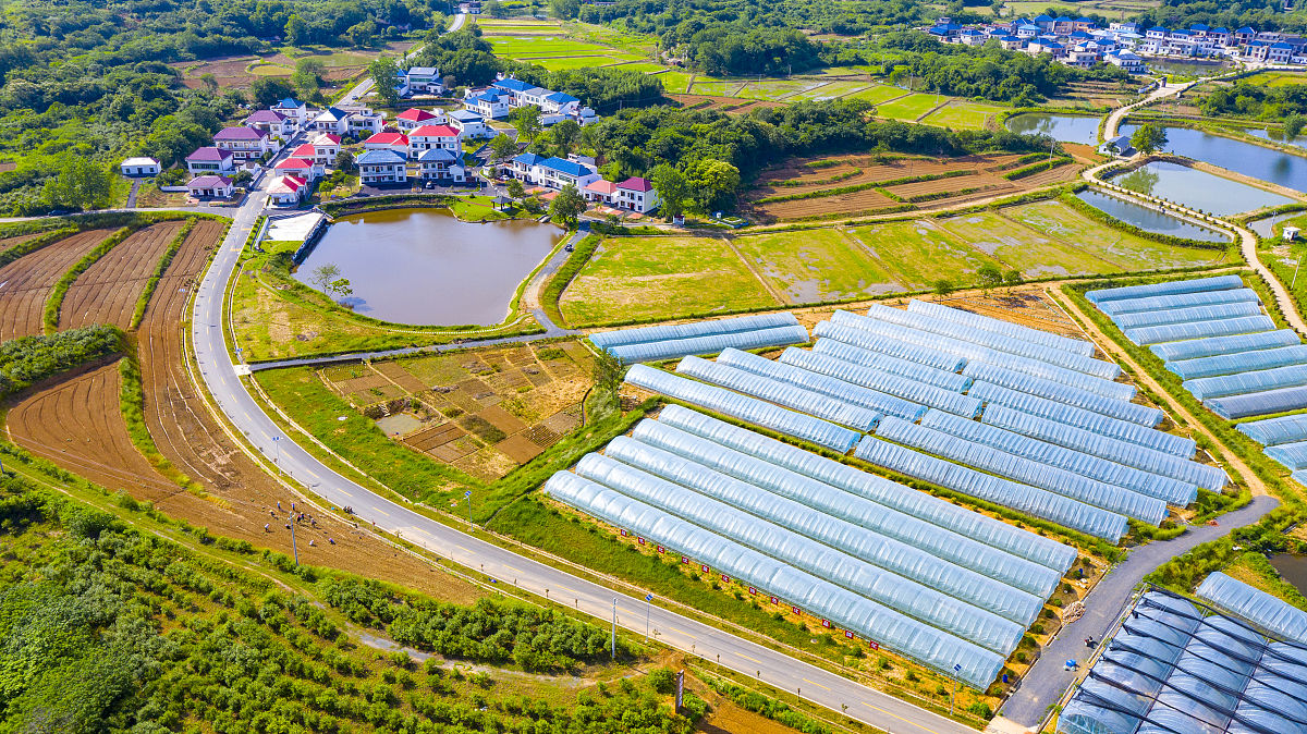 保险有温度,人保护你周全_NFT行业现状、面临的挑战分析及未来市场展望
