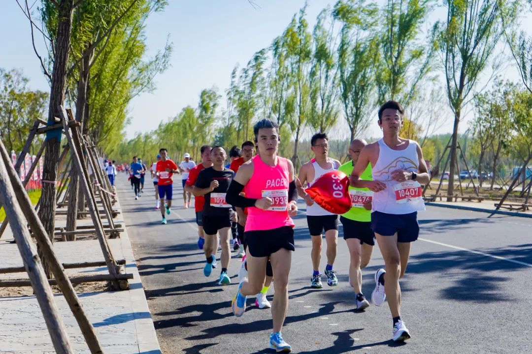 2024年废橡胶市场现状调查分析及未来前景趋势_人保车险,人保护你周全