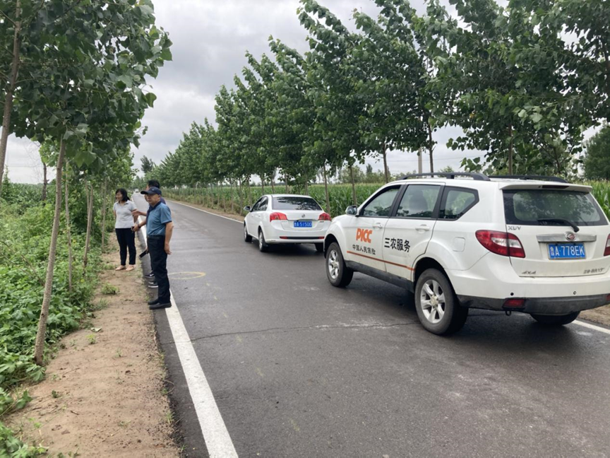 中国蔬菜育苗行业市场深度调研及投资策略预测_人保服务 ,人保车险   品牌优势——快速了解燃油汽车车险