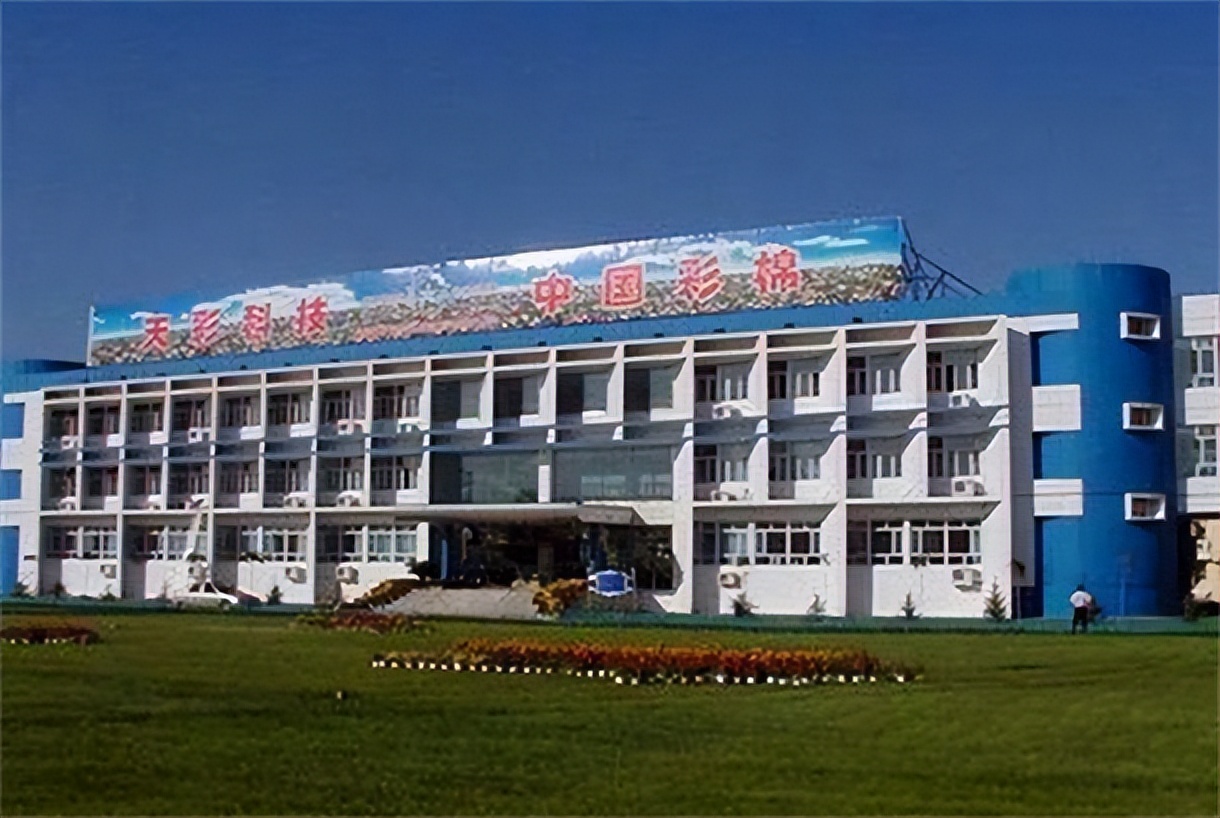 2024年中国彩棉行业市场发展趋势及政策分析_拥有“如意行”驾乘险，出行更顺畅！,人保有温度