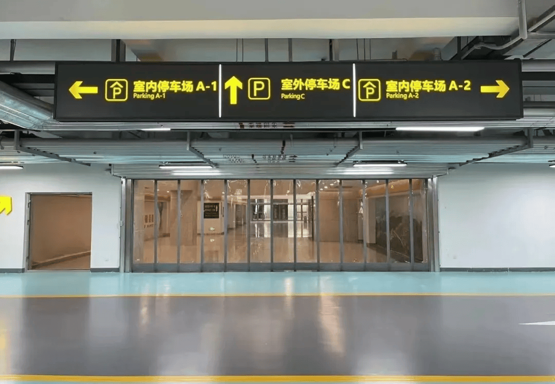 人保财险 ,拥有“如意行”驾乘险，出行更顺畅！_2024年中国造林行业发展趋势及前景预测