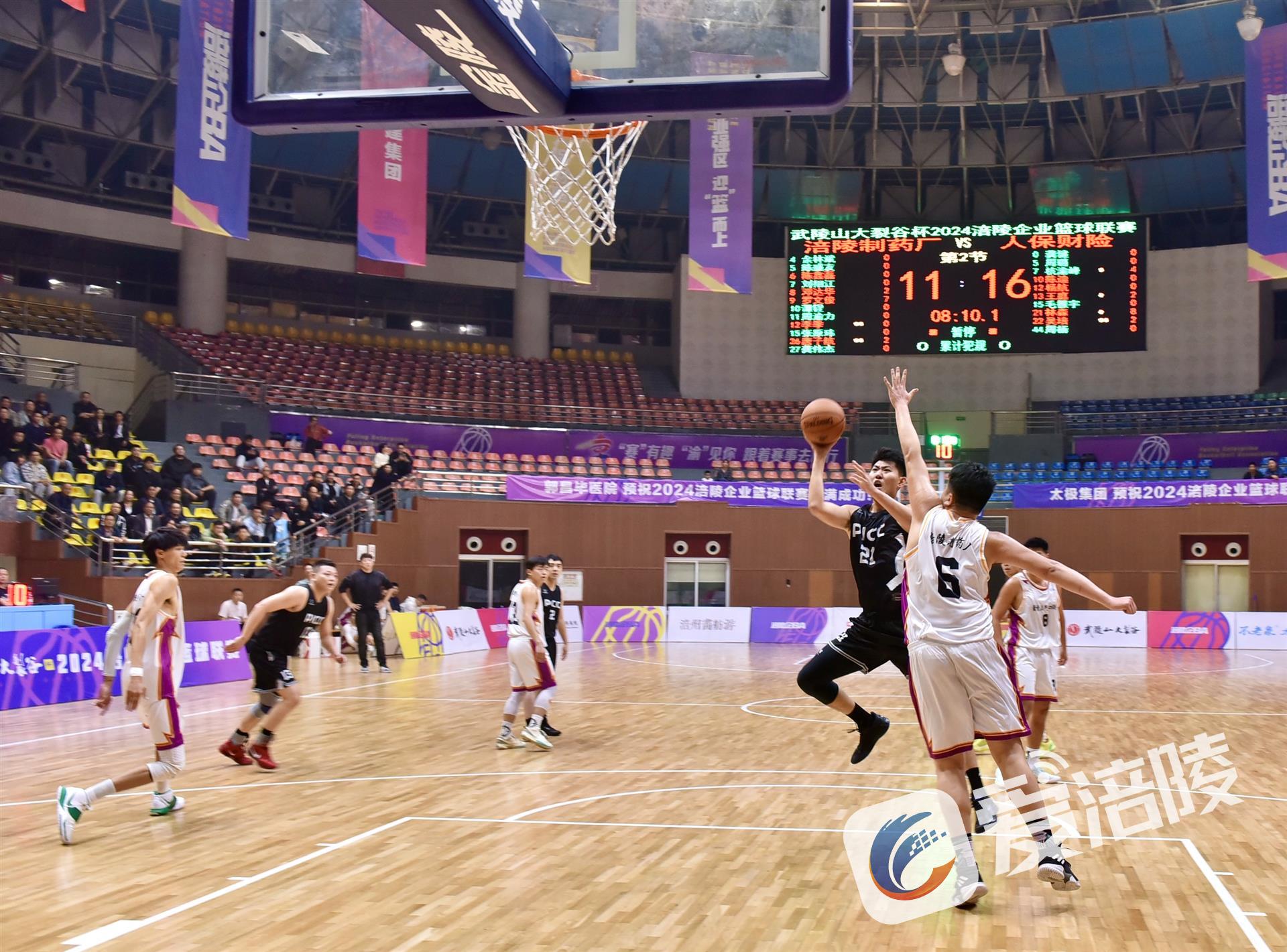 人保车险,人保伴您前行_2024年明胶行业产业链结构及供需分析