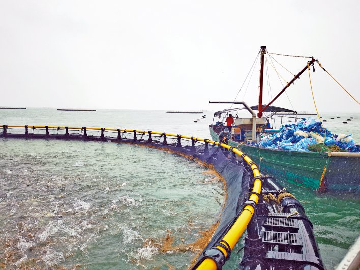 明胶行业产业链结构分析及市场供需趋势_人保服务 ,人保车险