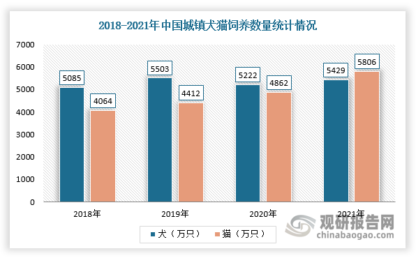 2025文化娱乐行业市场发展现状及企业规模、消费者画像分析_拥有“如意行”驾乘险,出行更顺畅!,人保护你周全