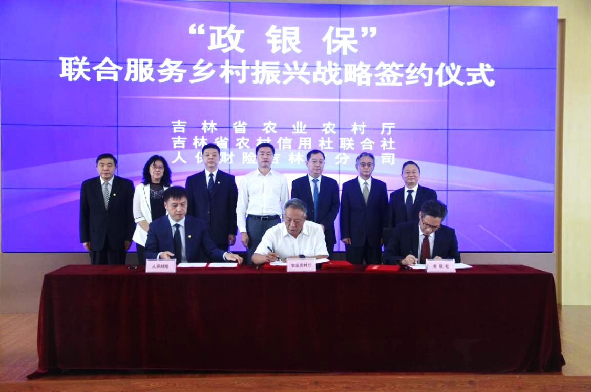 2025年乳胶枕头行业供需分析及投资风险_人保财险政银保 ,人保财险 