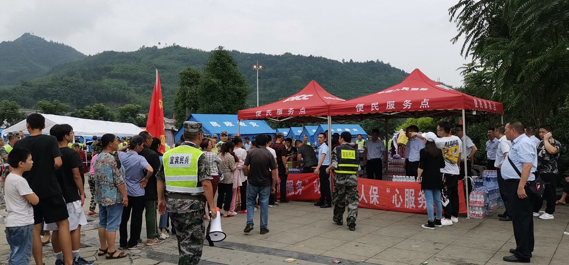 2025年园林苗木行业市场现状发展趋势及未来前景展望_人保服务 ,人保车险   品牌优势——快速了解燃油汽车车险