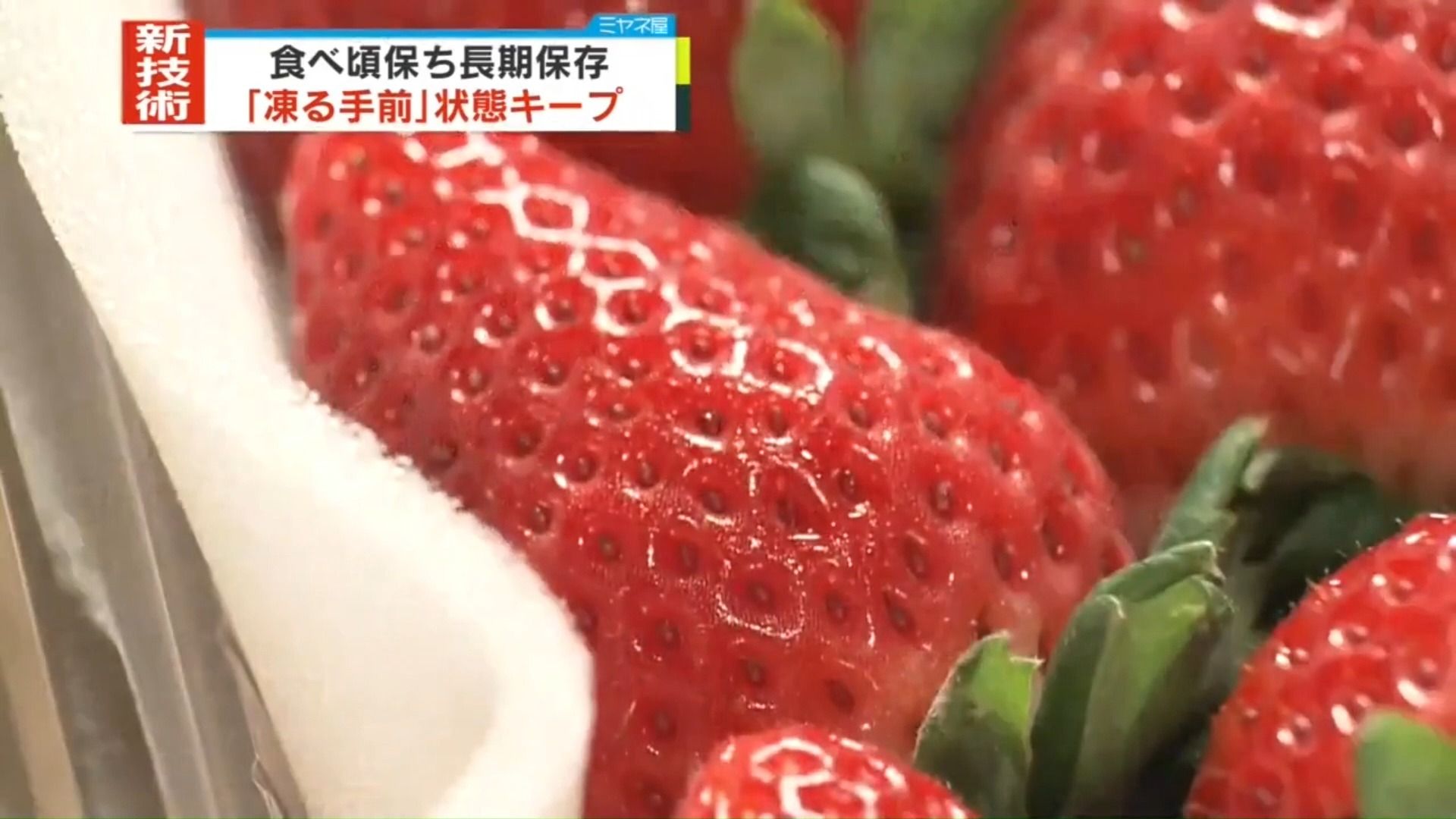 2025水果保鲜行业市场发展现状及竞争格局、供需格局分析_人保服务 ,人保车险