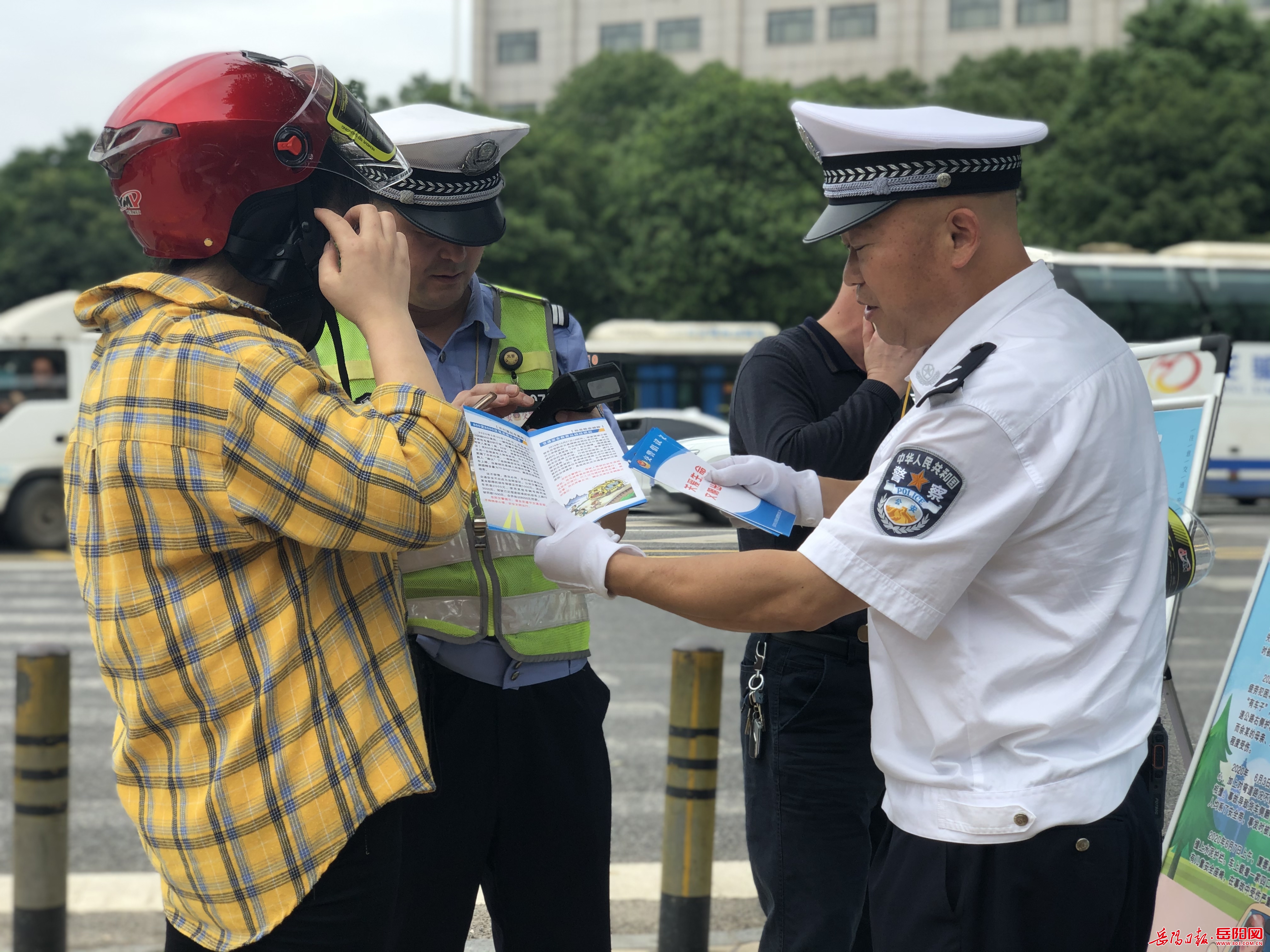 人保财险政银保 ,拥有“如意行”驾乘险，出行更顺畅！_​2025年黑莓行业深度破局：从“浆果贵族”到千亿健康赛道的产业跃迁