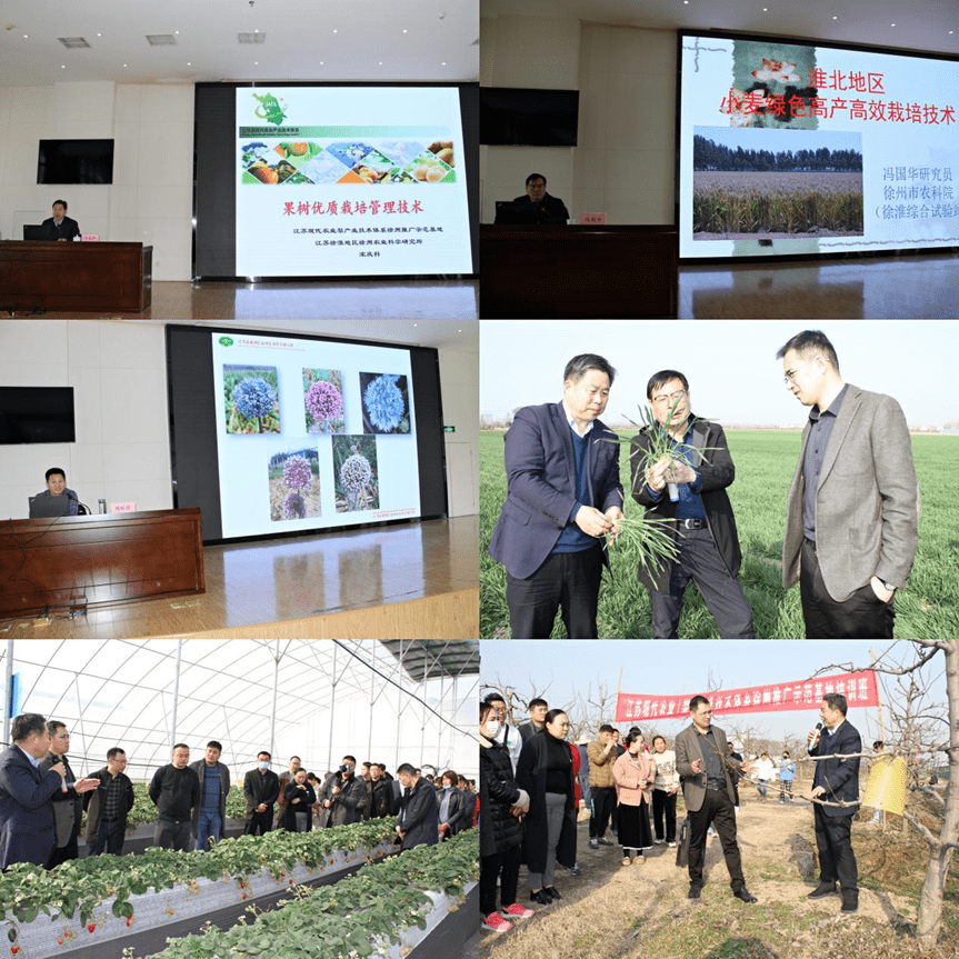 2025年聚乙烯行业现状与发展趋势分析_人保财险政银保 ,人保伴您前行