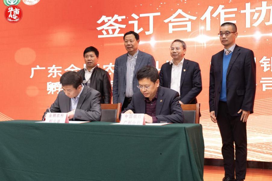 智力与资本双向赋能,这场对接会开启科技成果转化加速度