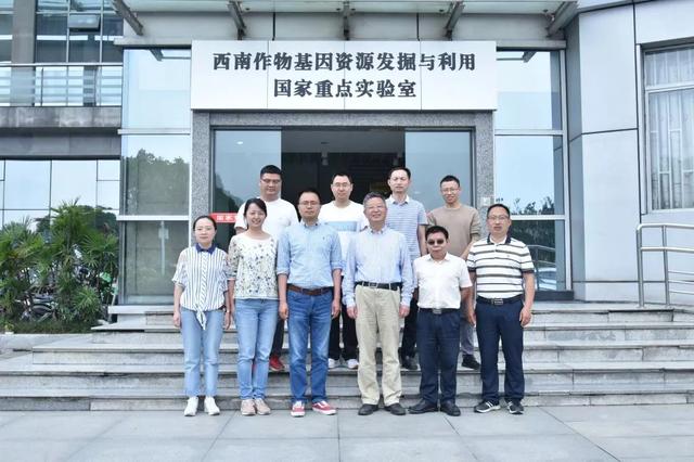 科学家构建“阳光扫描仪” 精确监测地表太阳辐射变化