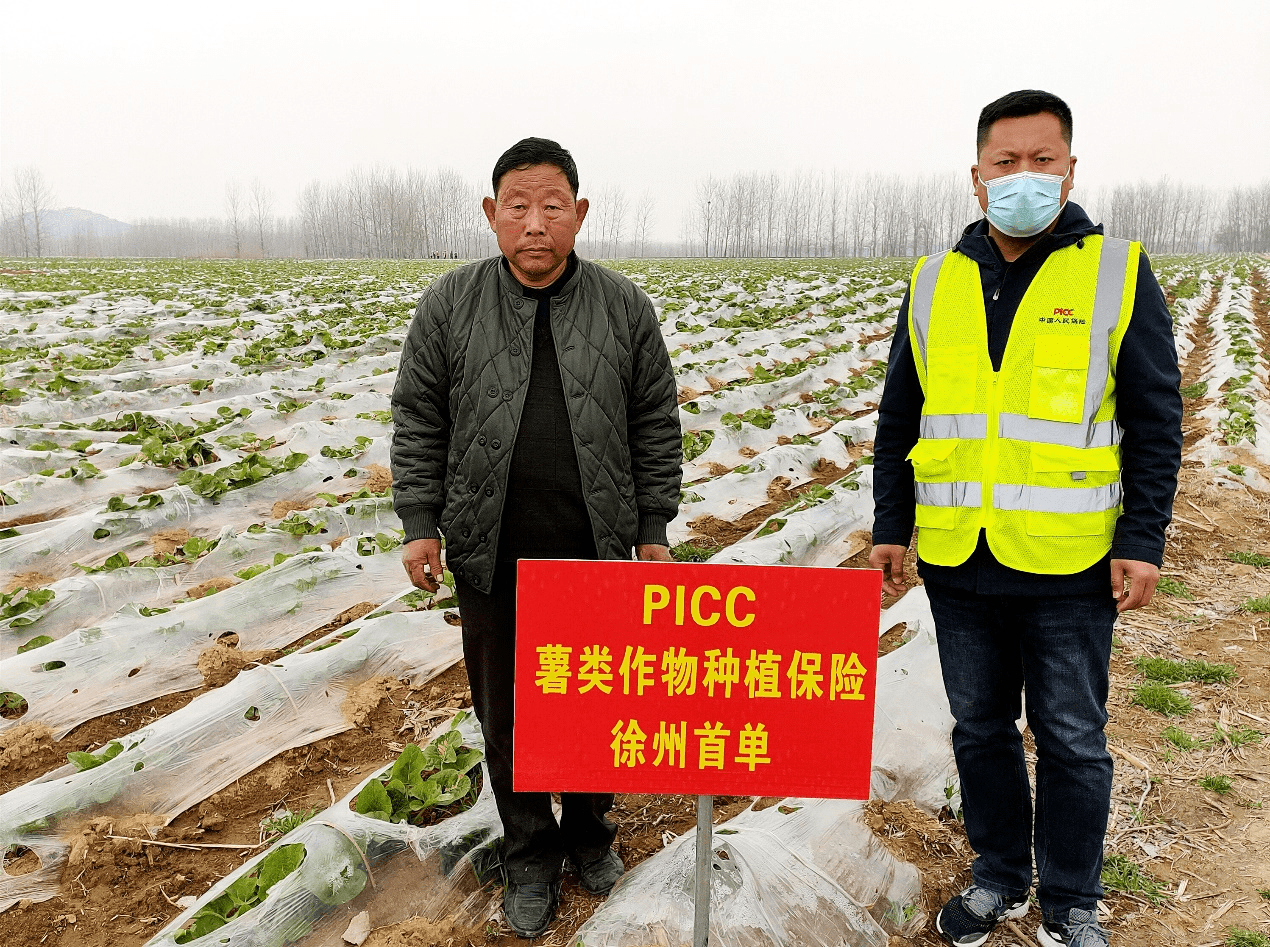 保险有温度,人保财险 _2025年真丝服装面料行业投资潜力及发展前景分析