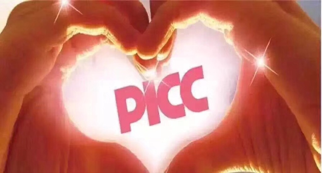 2025中国游艇行业市场深度调研及发展现状、未来前景分析_人保车险,人保财险 