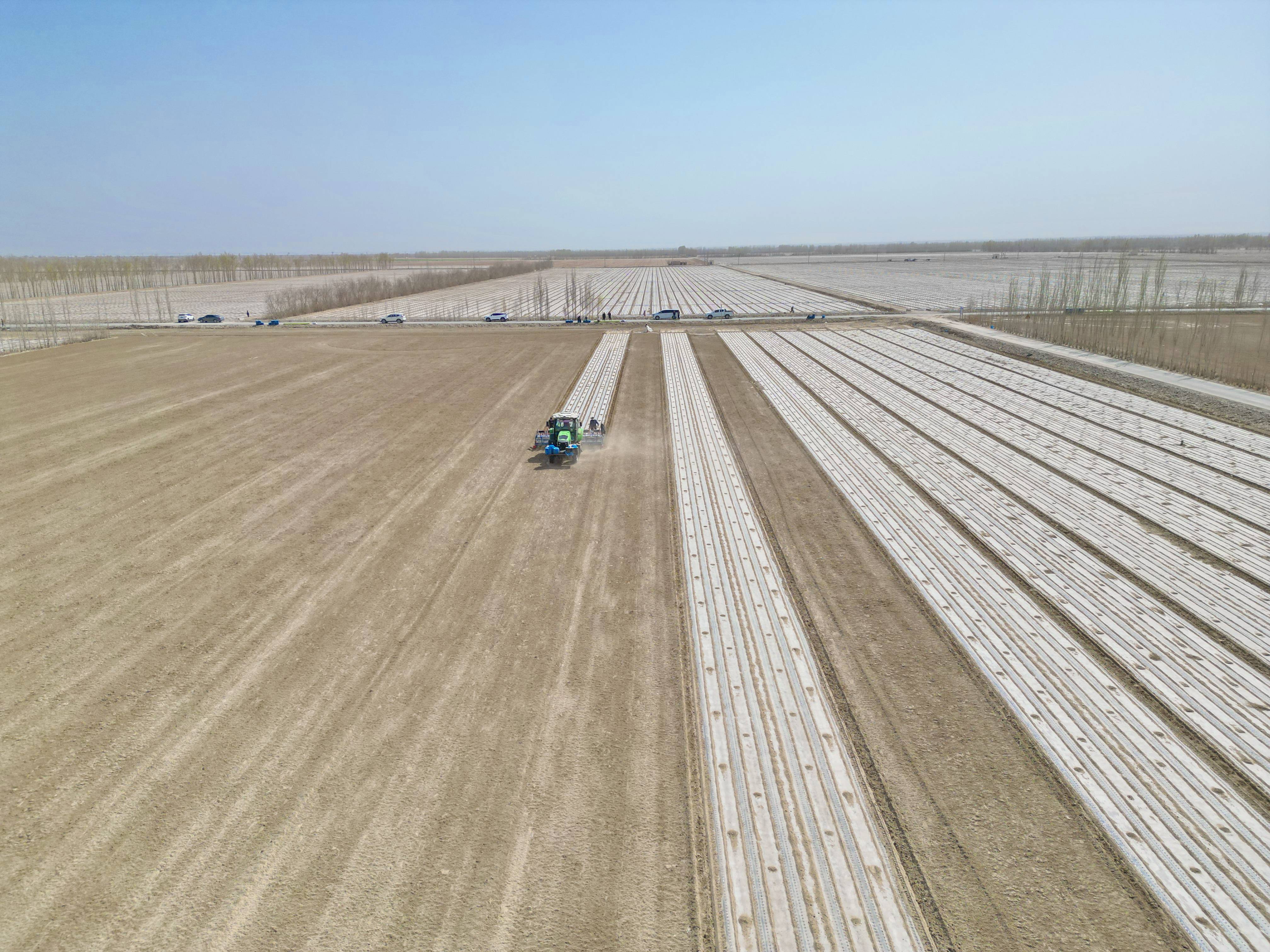 2025年4月8日今日现货棉花价格最新报价多少钱一吨