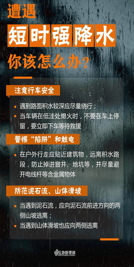 人保车险,人保护你周全_2025中国遮阳伞行业市场现状分析及发展前景预测