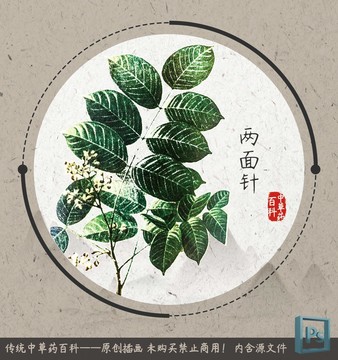 两面针龙虎榜数据（4月16日）