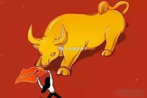 中天科技2024年度拟派10.19亿元红包