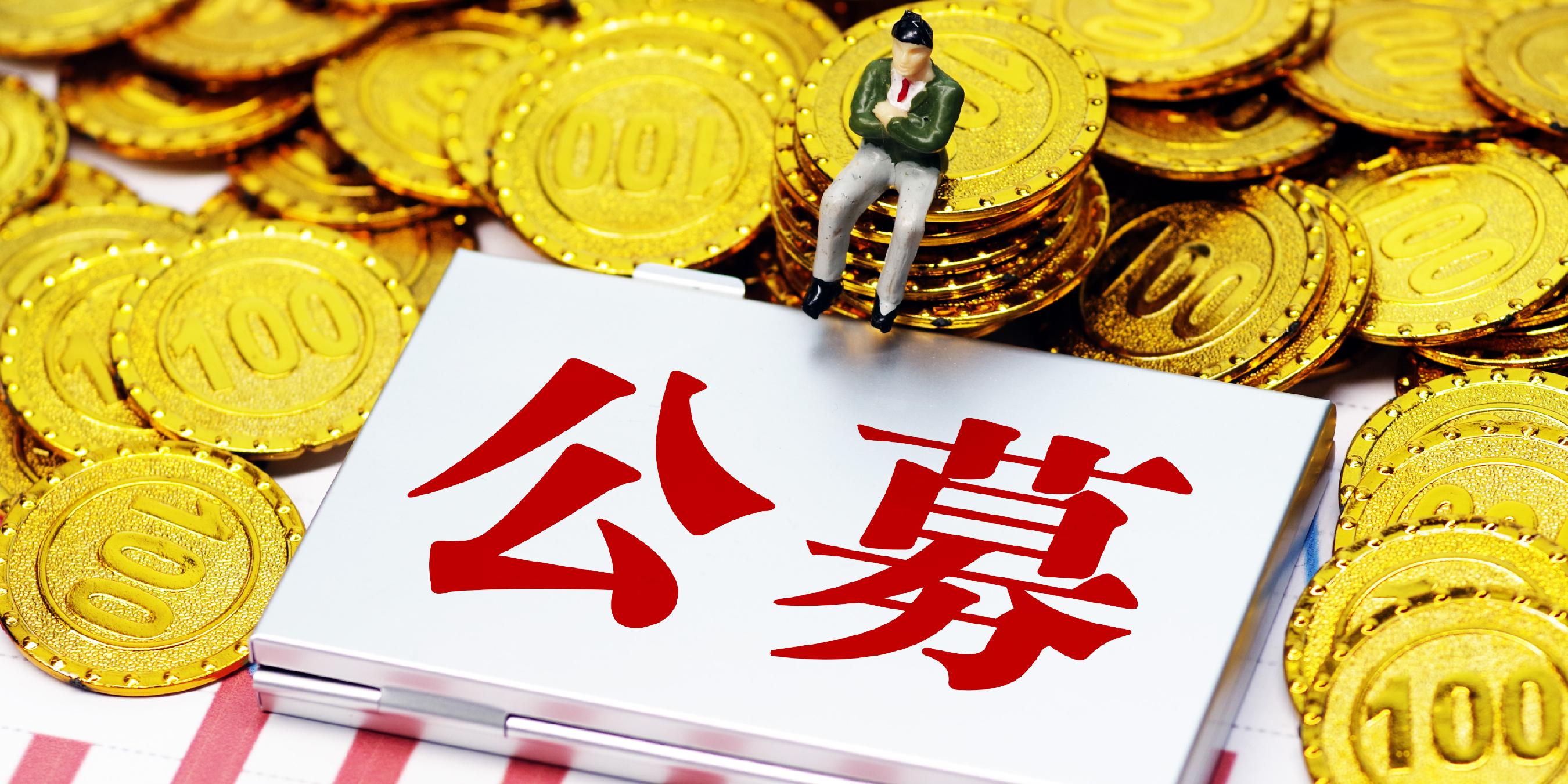 凯德投资申报旗下首只中国消费基础设施公募REIT 资产规模约28亿元