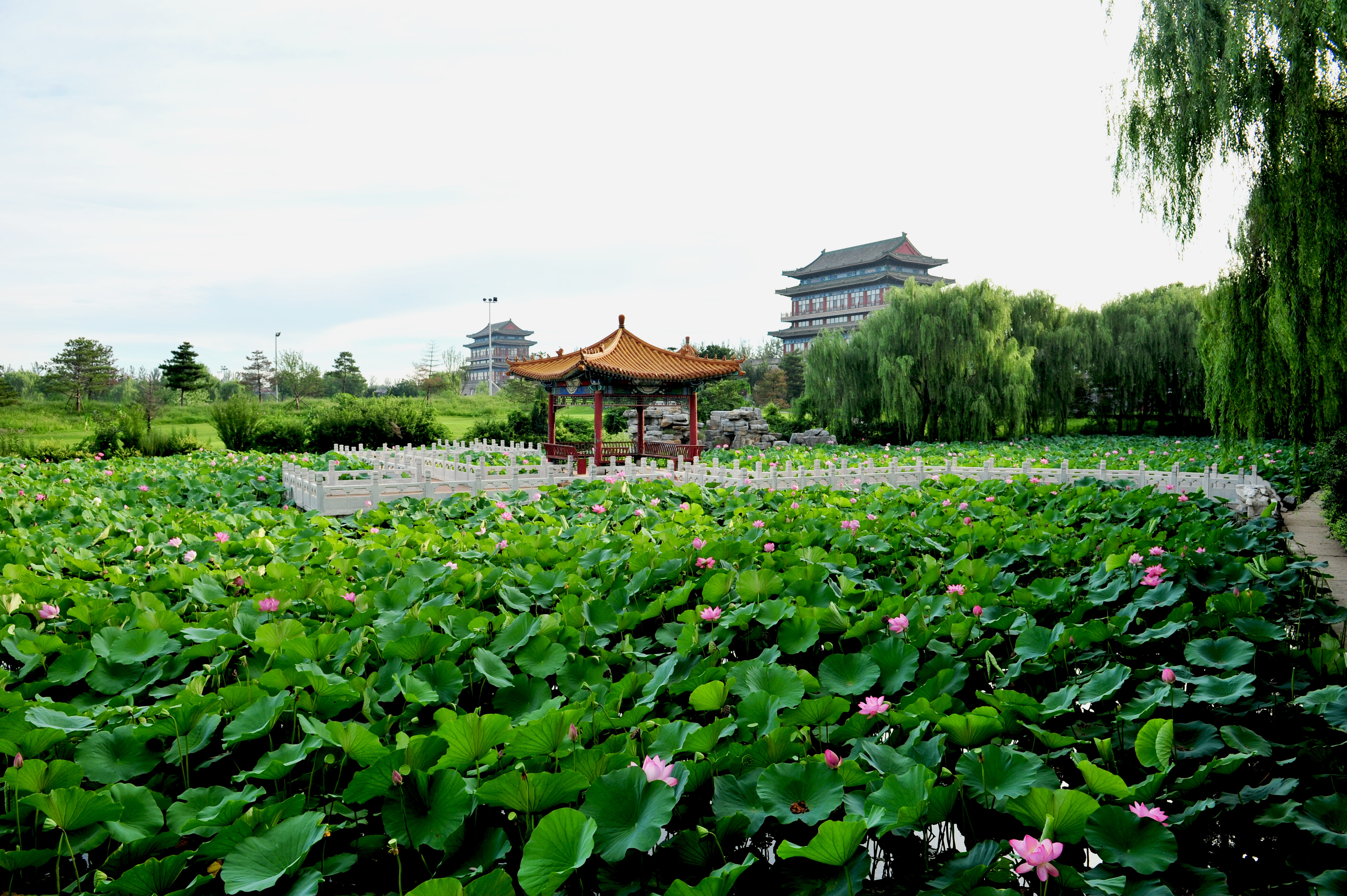 香河“大明幻境”主题乐园启幕迎客