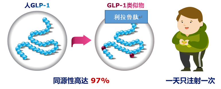 礼来首个小分子口服GLP-1RA药物orforglipron 3期临床研究成功